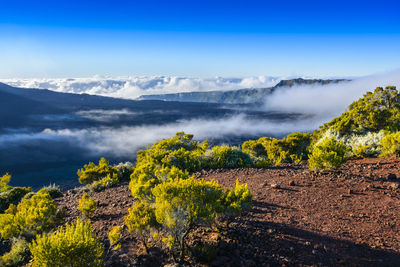 Landscape with cliffs of the volcanic area at reunion island with a blue sky