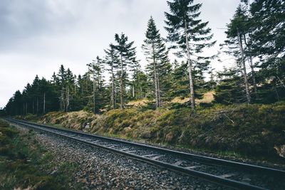 Railroad track by trees on field