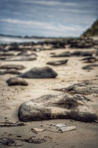 Scenic view of beach