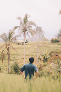 Rear view of man with hands on hip standing on agricultural field