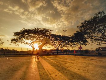 Silhouette trees by road against sky during sunset