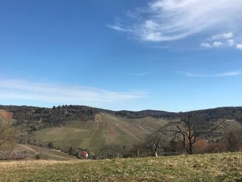 Scenic view of agricultural field against sky