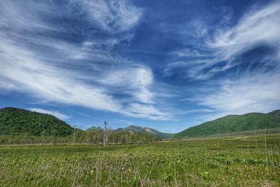 Scenic view of field against sky