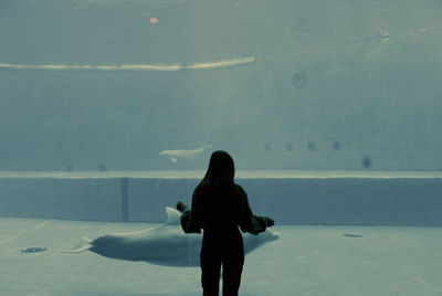 Rear view of silhouette woman standing against aquarium