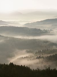 Magnificent heavy mist in landscape. autumn creamy fog in landscape. hill increased from thick fog.