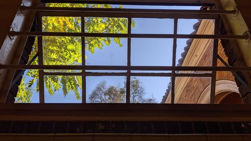 Low angle view of glass window of building