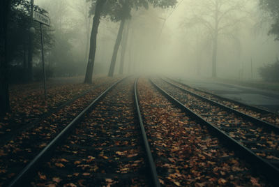 Surface level of railroad tracks in foggy weather