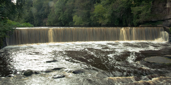 Scenic view of trees by water