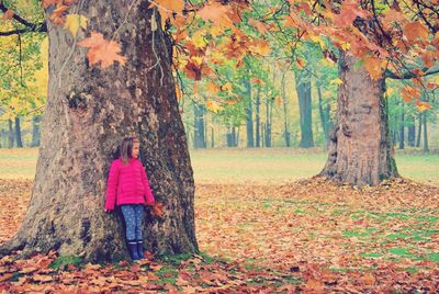 Girl standing by tree trunk at park during autumn
