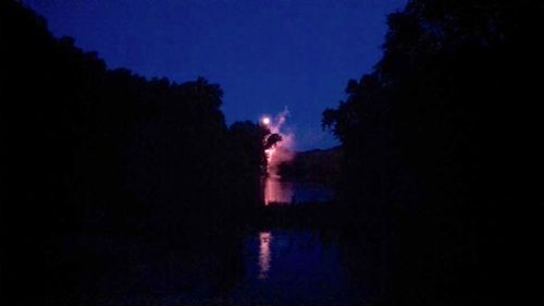 Night view of illuminated tree