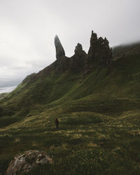 High angle view of man walking on grassy landscape