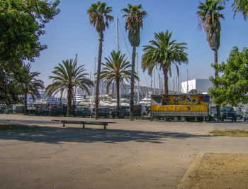 Palm trees on beach against sky