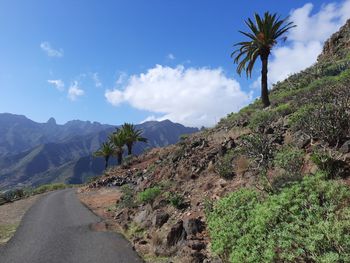mountain