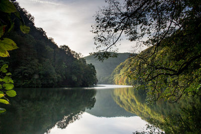 Scenic view of lake by trees against sky