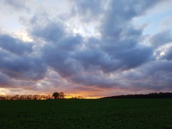 Scenic view of field against cloudy sky