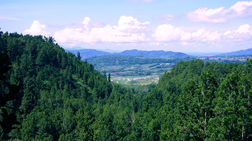 Panoramic view of trees and mountains against sky