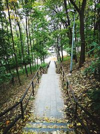 Footpath amidst trees in forest