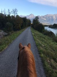 Horse cart on road by trees against sky