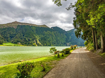 Scenic view of road by trees against sky