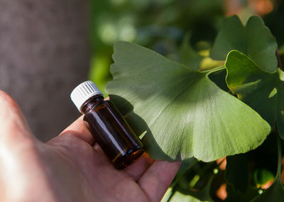 Close-up of hand holding leaves