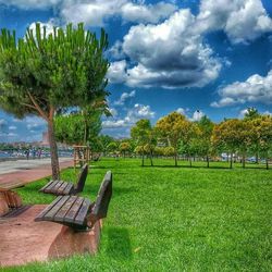 Empty bench on grassy field against cloudy sky
