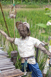 Woman scarecrow on field