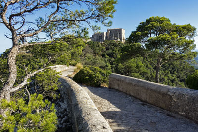 Footpath amidst trees and buildings against sky