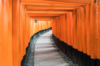 Empty footpath amidst torii gates