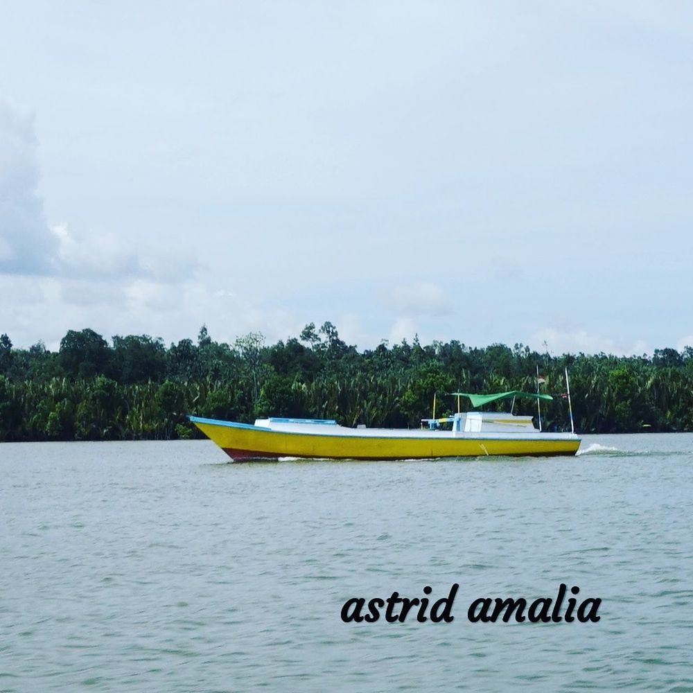 nautical vessel, water, transportation, mode of transportation, sky, nature, tree, plant, day, no people, beauty in nature, cloud - sky, waterfront, tranquility, tranquil scene, sea, moored, non-urban scene, outdoors, anchored, fishing boat, rowboat