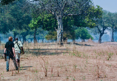 Rear view of people standing amidst trees in forest