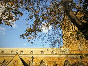 Low angle view of tree against sky