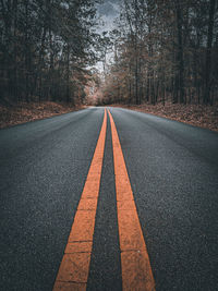 Road amidst trees in forest