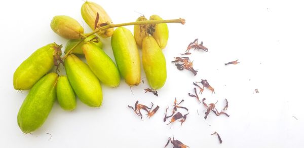 High angle view of fruits on table