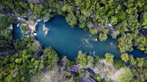 High angle view of trees by lake