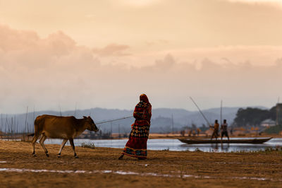 Horses standing on field against sky during sunset