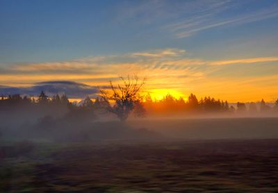 Foggy oregon sunrise