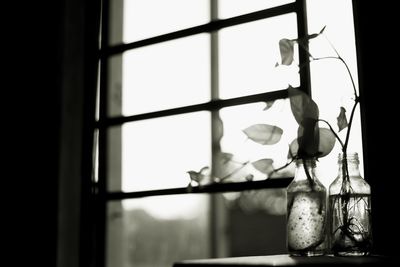 Close-up of light bulbs hanging from window