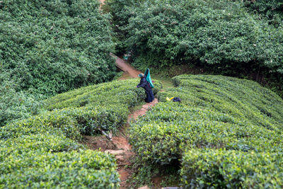 Man playing on field in forest