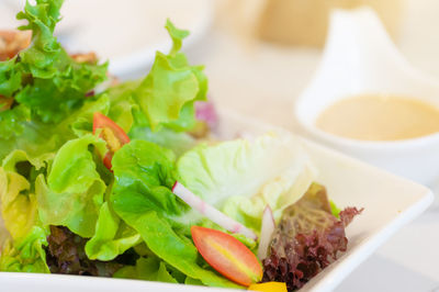 Close-up of salad in plate on table