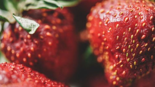 Close-up of strawberry