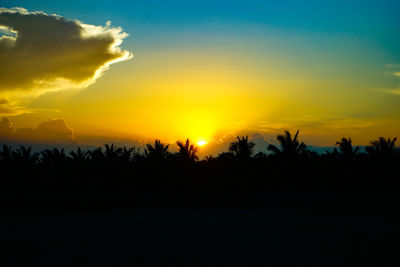 Silhouette trees against sky during sunset