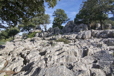 Rocks and trees on rock formation against sky