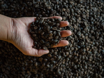 Close-up of hand holding coffee beans