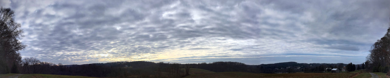 Panoramic shot of trees on land against sky