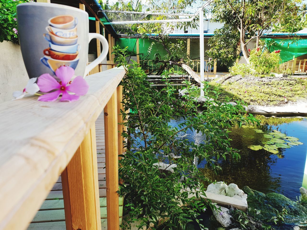 POTTED PLANT ON WOODEN TABLE