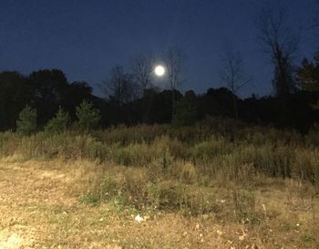 Trees on field at night