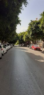 Road by trees in city against sky