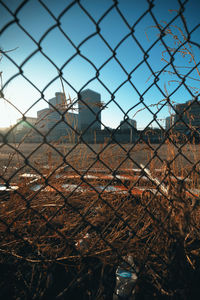 Low angle view of woman standing by chainlink fence