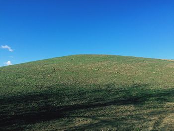 Low angle view of tree against clear blue sky