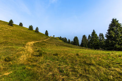 Path between the grassy meadows of the mountains around lake revine lake treviso veneto italy